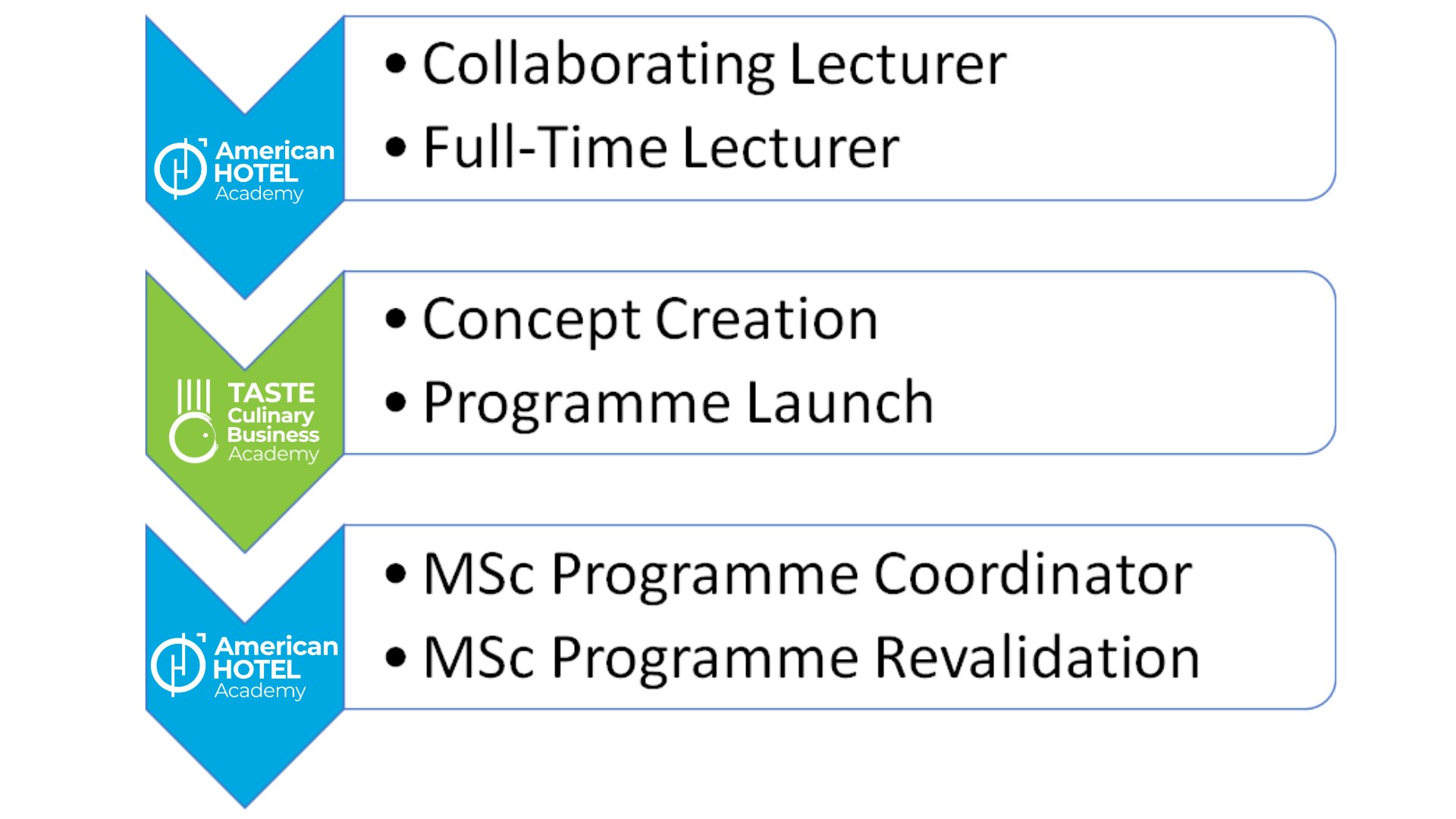 Anne Taylor's projects during her 4 years with us included being a full-time lecturer, co-creating and launching a new programme and being the coordinator and part of the revalidation team of our Master's programme.